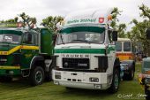 Saurer_D290B_Martin_Staeheli.jpg