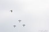 Pilatus_PC-7_Trainer075.jpg