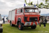 Saurer_D290B_TLF_FW_Amriswil.jpg