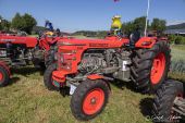 Huerlimann_D-310_Synchromatic001.jpg