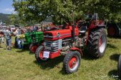 Massey-Ferguson_165.jpg