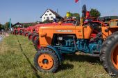 Fiat_415_Special_Traktor001.jpg
