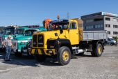 Saurer_D290B_gelb003.jpg
