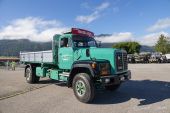 Saurer_D290_Gisler001.jpg