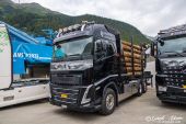Volvo_New_FHII_AlbertinForst001.jpg