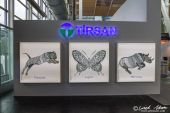 Tirsan.jpg