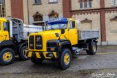 Saurer_D290B_Kipper_gelb001.jpg