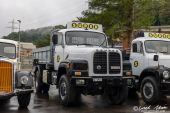 Saurer_D290B_Surer.jpg