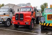 Saurer_D330B_Mueller_Dietikon001.jpg