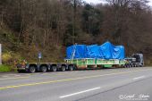 09MAN_TGX_41.680_V8_Ernst_Turgi003.jpg