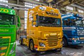 DAF_XF_Euro6_Stema002.jpg