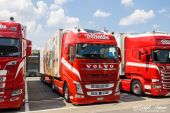 Volvo_FH4_Blaettler001.jpg