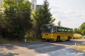02Saurer_RH_Postauto_Luetscher_Andelfingen001.jpg
