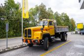 Saurer_D290B_gelb.jpg