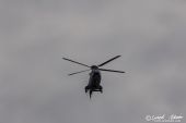 Eurocopter_AS532UL_Cougar_Swiss_Air_Force_Daeniken001.jpg