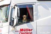 Volvo_FH4_Mueller_Dietikon003.jpg
