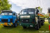 Saurer_D290_E.Baumann&Co_AG.jpg
