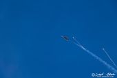 Northrop_F5E_Tiger_Patrouille_Suisse058.jpg