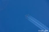 Northrop_F5E_Tiger_Patrouille_Suisse003.jpg