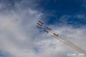 Northrop_F5E_Tiger_Patrouille_Suisse130.jpg