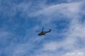 Eurocopter_AS.532UL_Cougar_Swiss_Air_Force063.jpg