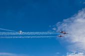 Northrop_F5E_Tiger_Patrouille_Suisse079.jpg