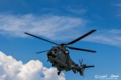 Eurocopter_AS.532UL_Cougar_Swiss_Air_Force008.jpg