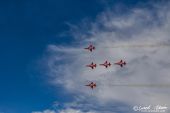 Northrop_F5E_Tiger_Patrouille_Suisse124.jpg