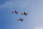 Pilatus_PC-7_Fliegermuseum_Altenrhein061.jpg