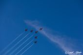 Northrop_F5E_Tiger_Patrouille_Suisse011.jpg