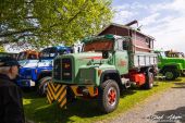 Saurer_D290_Holdener_Transporte.jpg