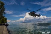 Eurocopter_AS.532UL_Cougar_Swiss_Air_Force168.jpg