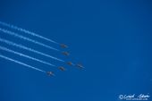 Northrop_F5E_Tiger_Patrouille_Suisse017.jpg