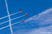 Pilatus_PC-7_Fliegermuseum_Altenrhein021.jpg