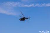 Eurocopter_AS.532UL_Cougar_Swiss_Air_Force052.jpg