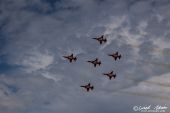 Northrop_F5E_Tiger_Patrouille_Suisse020.jpg