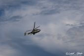 Eurocopter_AS.532UL_Cougar_Swiss_Air_Force114.jpg