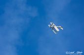Boeing_PT13D_Stearman_Fliegermuseum_Altenrhein035.jpg