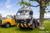 Saurer_D290B_Gasser_Holz.jpg