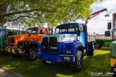 Saurer_D290B_Praesentaionsfarben.jpg