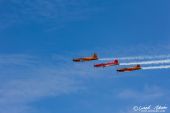 Pilatus_PC-7_Fliegermuseum_Altenrhein002.jpg
