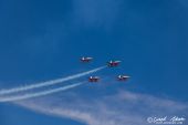 Northrop_F5E_Tiger_Patrouille_Suisse106.jpg