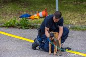 Polizeihunde_KaPo_Solothurn018.jpg