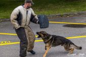 Polizeihunde_KaPo_Solothurn045.jpg