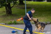 Polizeihunde_KaPo_Solothurn032.jpg