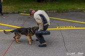 Polizeihunde_KaPo_Solothurn053.jpg