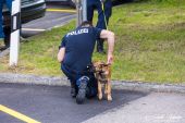 Polizeihunde_KaPo_Solothurn005.jpg