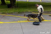 Polizeihunde_KaPo_Solothurn056.jpg