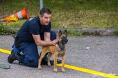 Polizeihunde_KaPo_Solothurn021.jpg