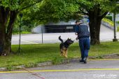 Polizeihunde_KaPo_Solothurn003.jpg